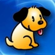 Avatar Frmos cu Catel_ Avatare Frumoase cu caini