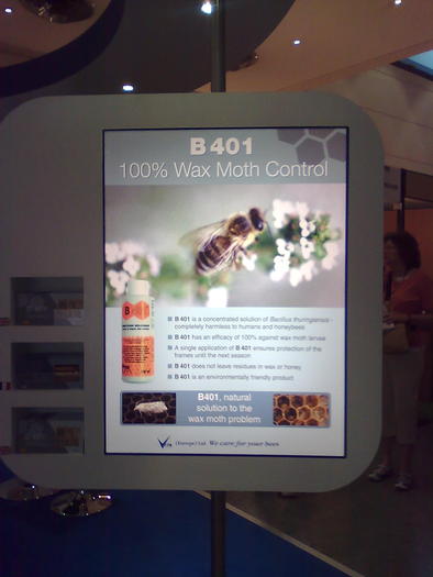 Imagine1072 - ApiMondia