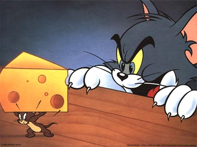 210-377 - Imagini cu tom and jerry