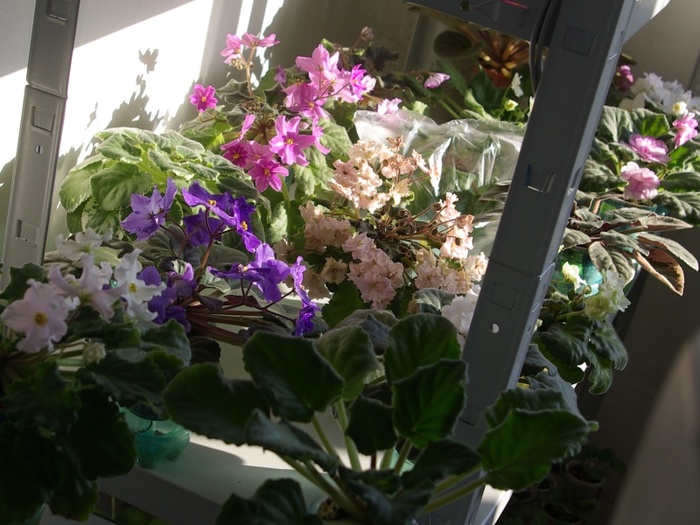 SG106054 - 2013 - Rafturi-Grup