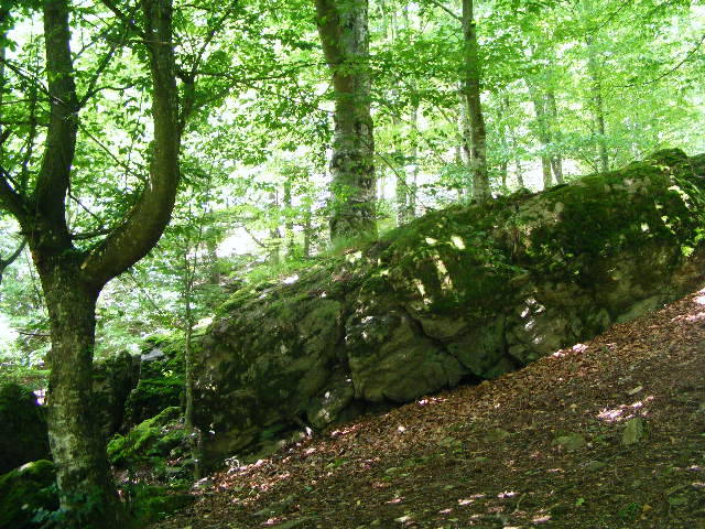 DSCF2595