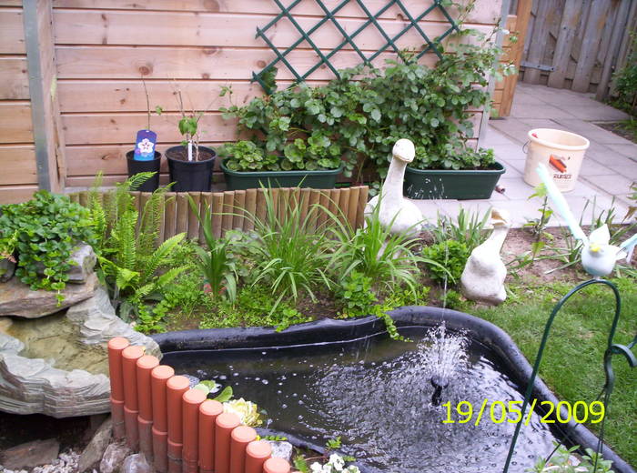 gr.s. 19 mai 2009 (5)