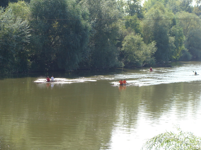 Concursul Cupa Mures 2009