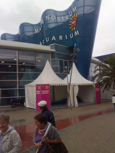 Imagine1178 - ApiMondia