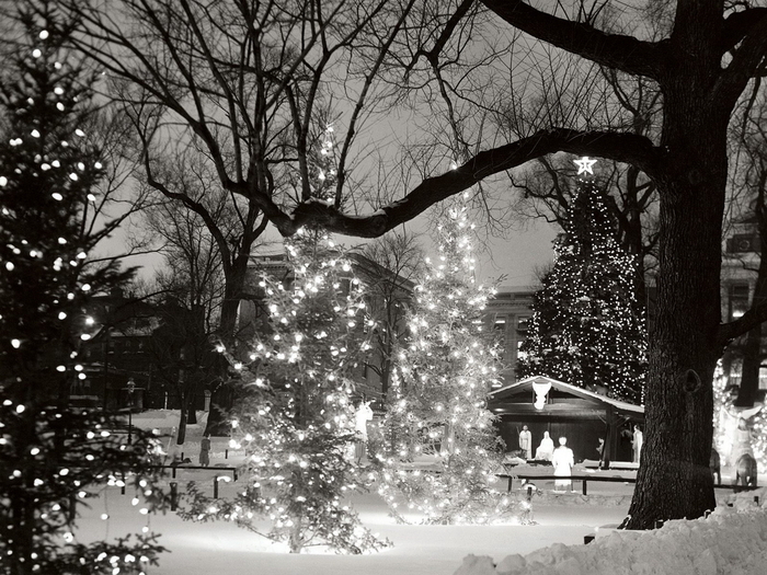 Christmas Wallpapers (385)