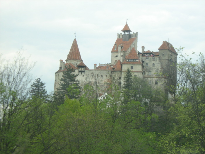 IMG_1670 - castelul_lui_dracula-bran