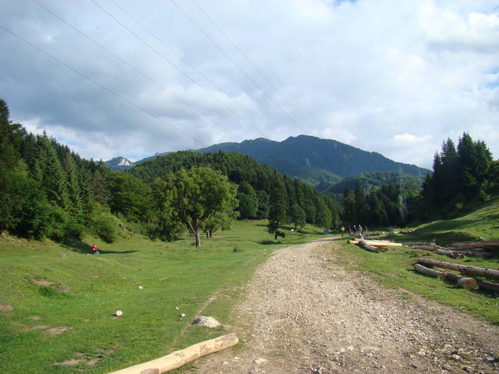 DSC03713 - Iunie 2009