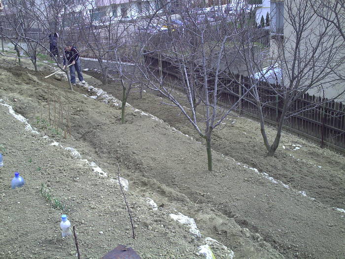 PICT0013 - GRADINA-2009