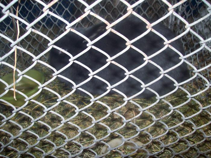 EXPO 2009 .01.09  CLUJ-NAPOCA 114