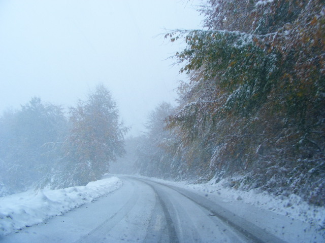 DSCF7346 - ninge in Maramu