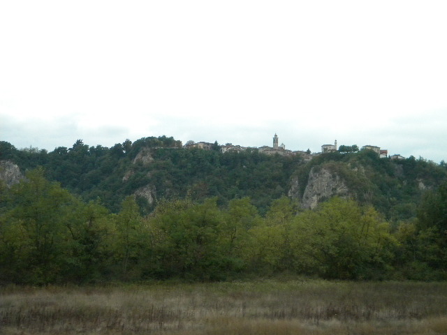 DSCN0517