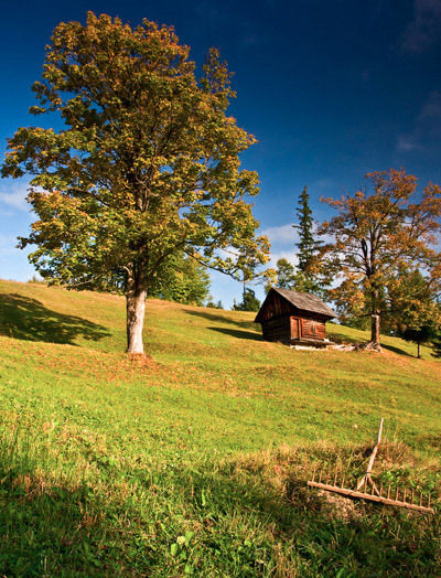 Toamna-in-Bucovina