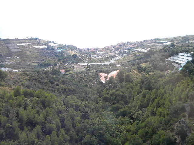 DSCN2515