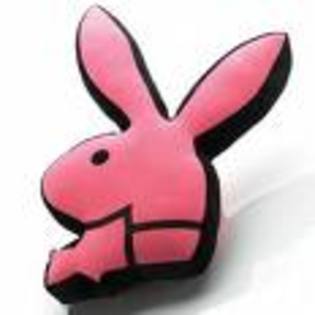 AXVTAAJCA637BQMCAZZ5WZNCACICZTGCAVM3A7LCAF7AIQBCADFSJR5CAURCPJXCACN78E4CA35HZ7ICA3Q6LR6CANV46NRCADO4