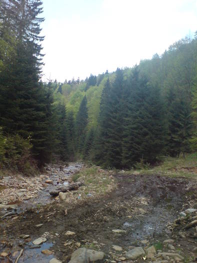 DSC02403 - asta da viata