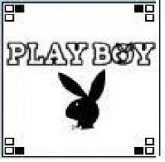 APQKNYBQOFFJKSPAKLA - playboy