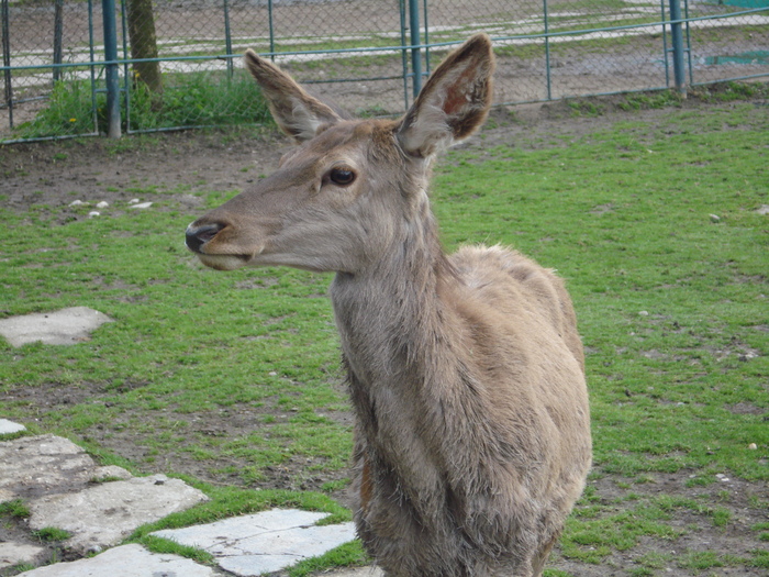 Picture 130