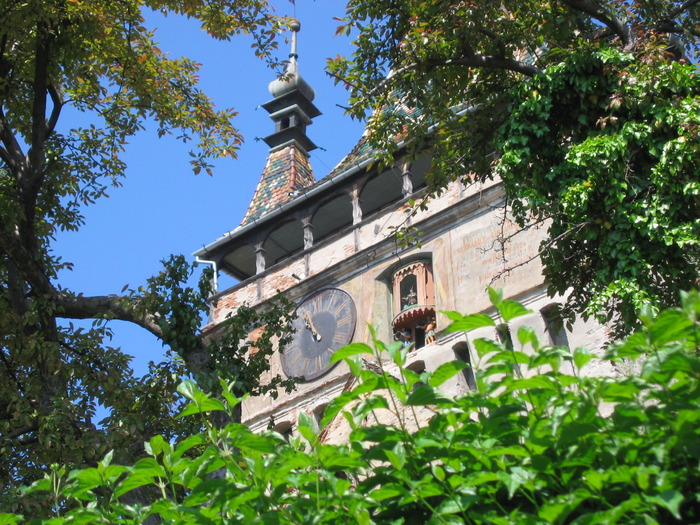 Sighisoara