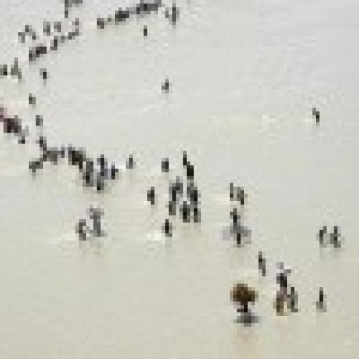floods-nepal_1207893i-100x100