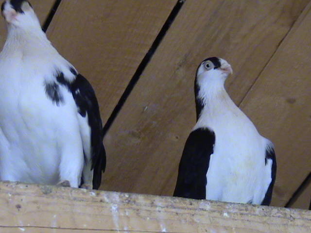 DSC01682