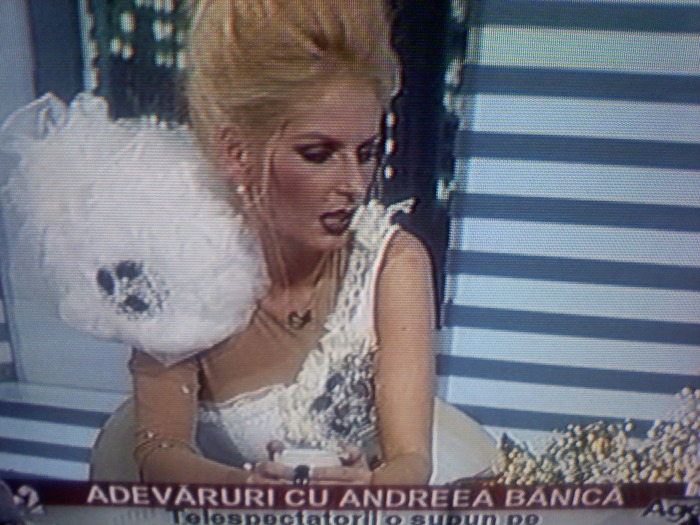 12345 (15) - Andreea Banica