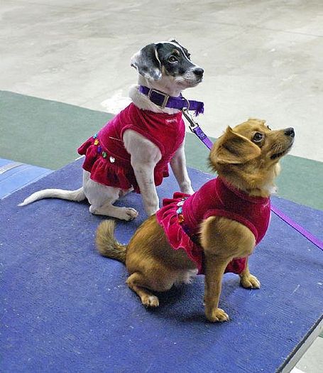 EsmeandMireilleafterdanceclass2_Full