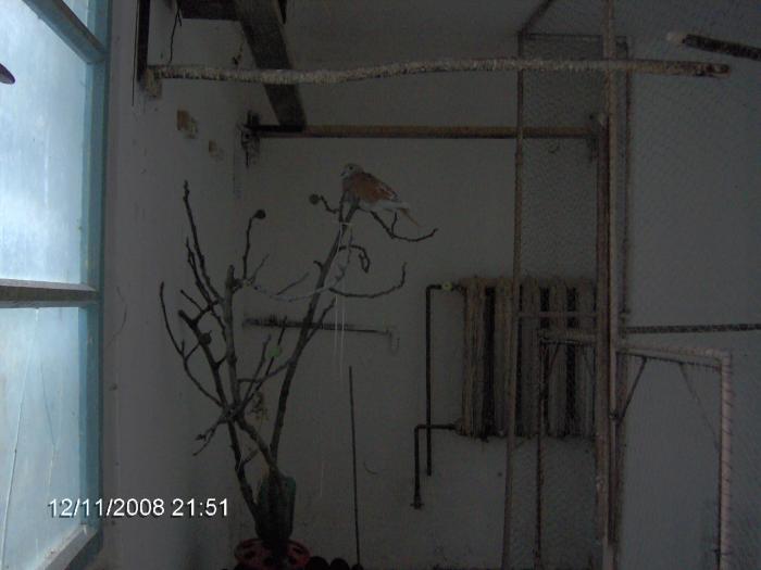 IM000973