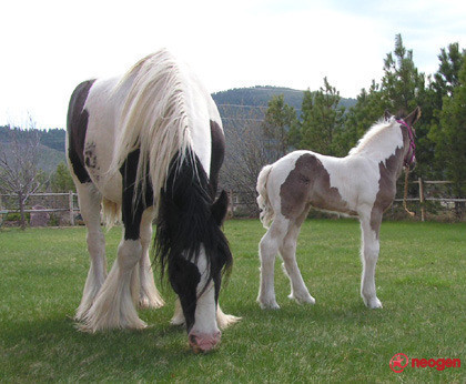 baa958a9_0010000854311_00_600