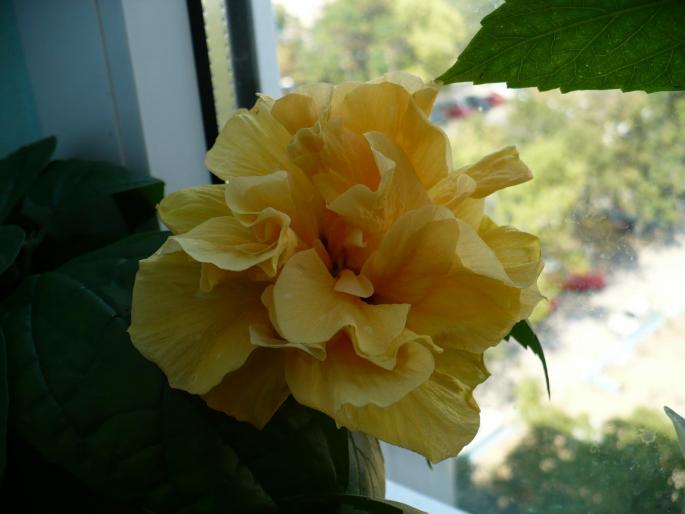 P1040147
