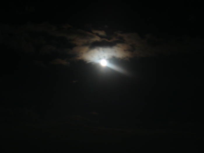 DSC00417