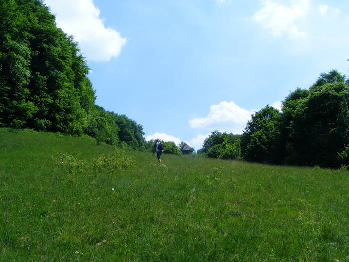 DSCF1065