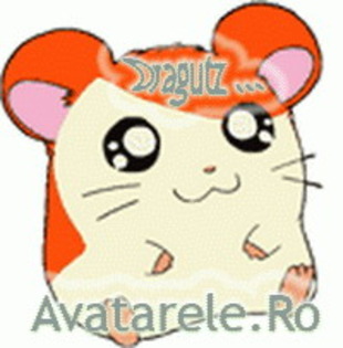 135[1] - Avatare