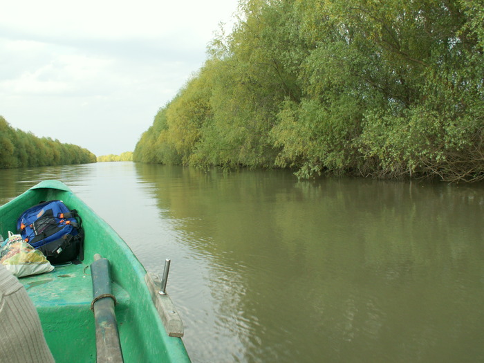 PICT0473 - POZE DELTA