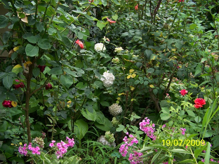 100_8237 - Iulie 2