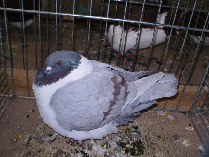 5552 s 1