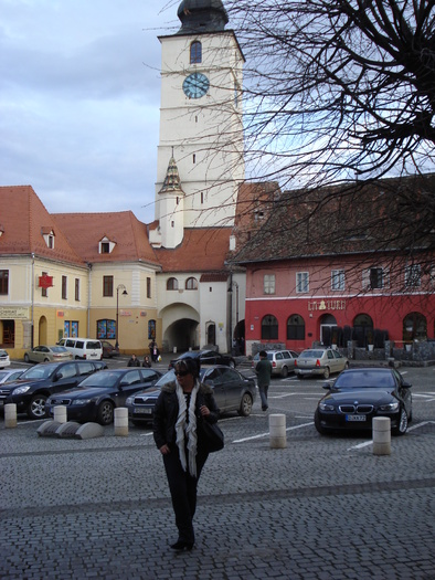 DSC06141 - 2010 REVELION SIBIU
