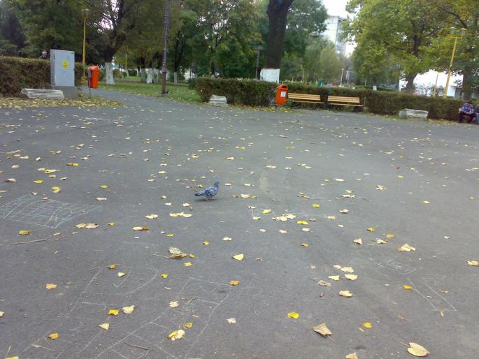 221020081430 - 18a Constanta 1