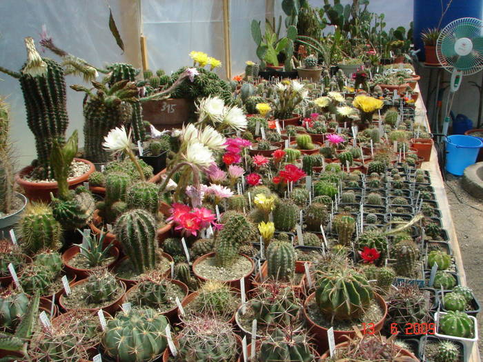DSC06133
