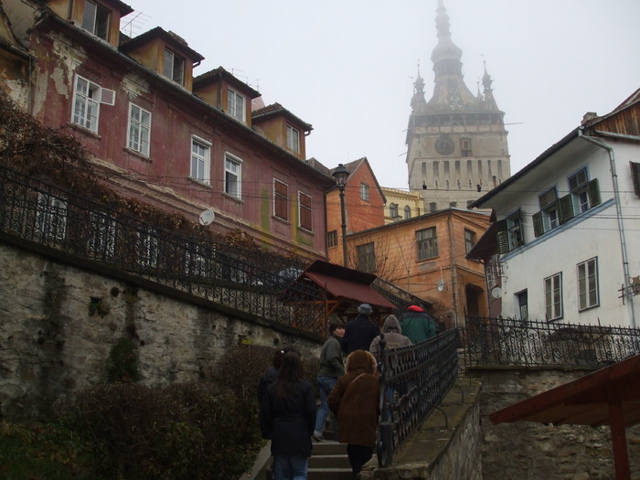  - Sighisoara