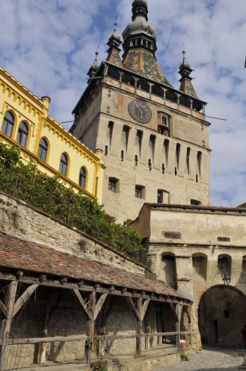 _DSC4243_460 - Sighisoara