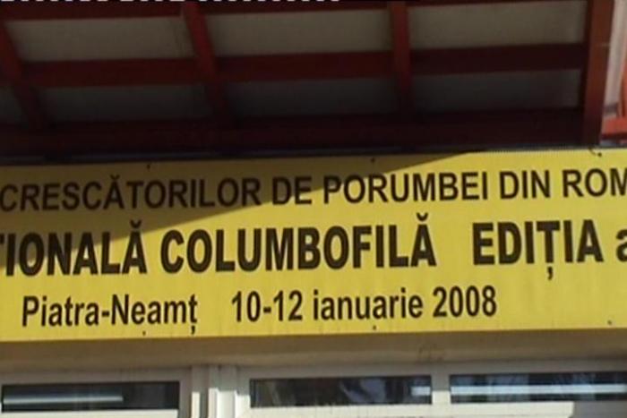 Image_1215-0931(CVBS)[2]