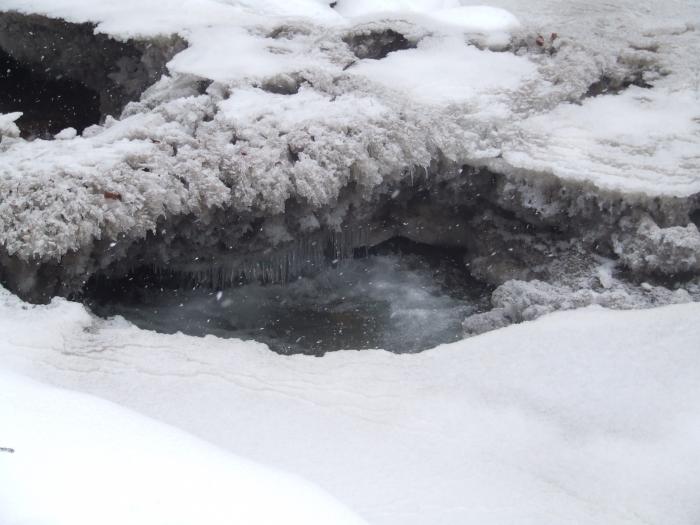 DSCF4603 - poiana zinelor