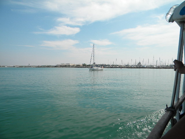DSCN1138