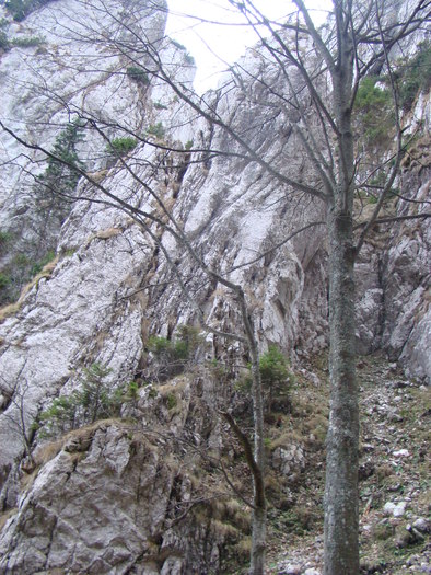 DSC04578