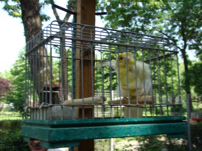 DSC00657 - 18-05-2008