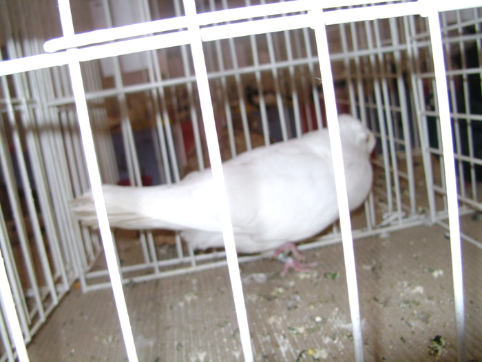 Picture 067