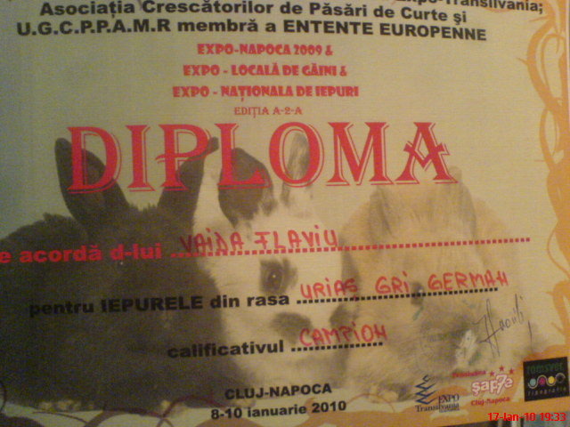 campion judetean -urias gri german - REZULTATE DIPLOME STATUETE MEDALII 2010