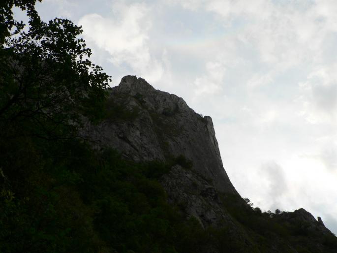 P100083