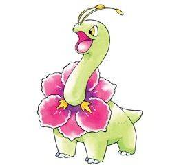 154meganium