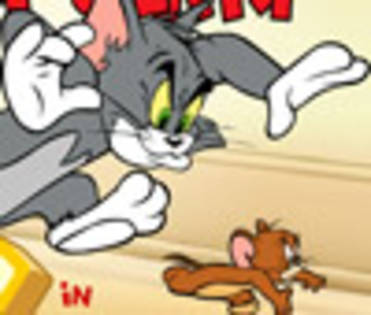 tom and jerry - imagini animale
